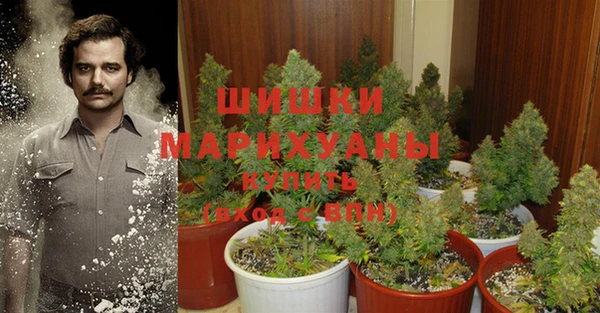 PSILOCYBIN Касимов