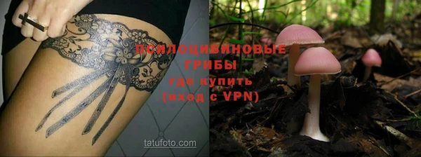 а пвп мука Кинешма