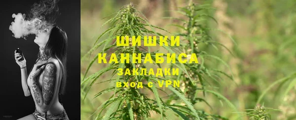 скорость Каменногорск