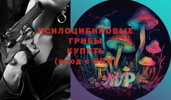 PSILOCYBIN Касимов
