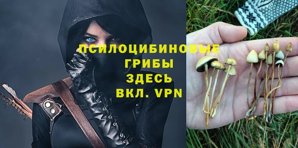 PSILOCYBIN Касимов