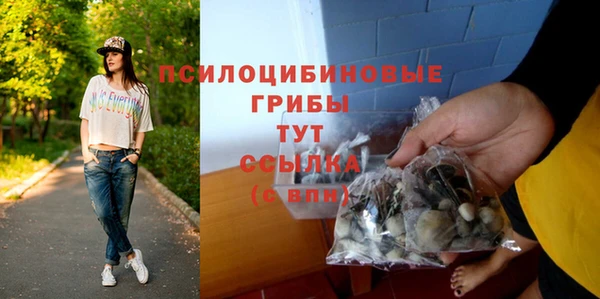 марки lsd Карпинск
