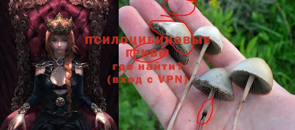 PSILOCYBIN Касимов