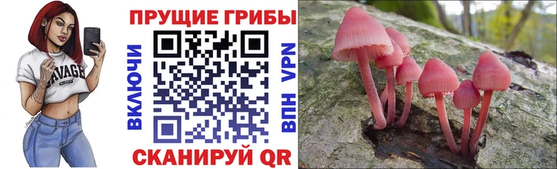 Галлюциногенные грибы MAGIC MUSHROOMS  блэк спрут маркетплейс  Кораблино 